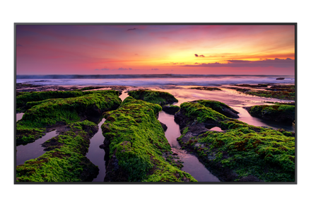 Samsung QB75-B 75" 4K Crystal UHD Smart Digital Signage