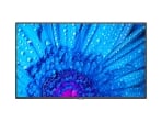 NEC MultiSync M981 LCD 98