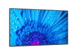 NEC MultiSync M981 LCD 98
