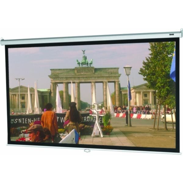 Dalite Model B Projection Screen