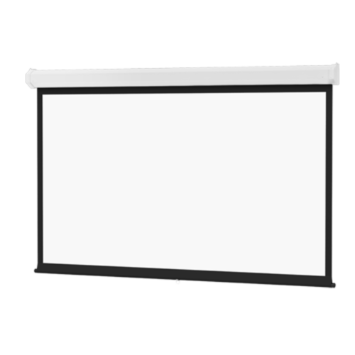 Dalite Model C Projection Screen