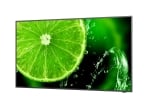 NEC MultiSync E988 LCD 98