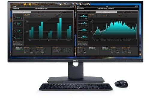 Dell UltraSharp U2913WM 29