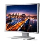 NEC P212-WH 21