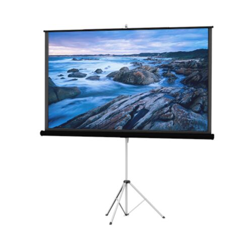 Dalite Carpeted Picture King with Keystone Eliminator Projection Screens