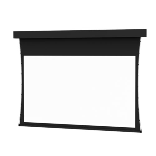 Dalite Professional Electrol Tensioned Projection Screen
