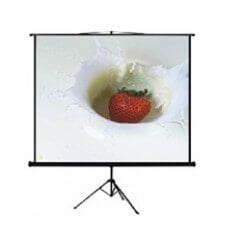 Iview 150 x150 cm 80" Diagonal 1:1 Aspect Tripod Projector Screen