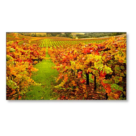 NEC MultiSync 55" Large Format Display – X554UN
